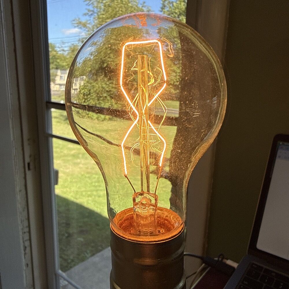 60W Carbon Filament Light Bulbs, 120V Sunlite 60A19/CF - Lot of 5